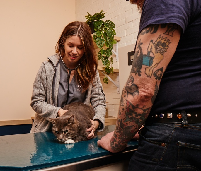 Vet with pet in exam room