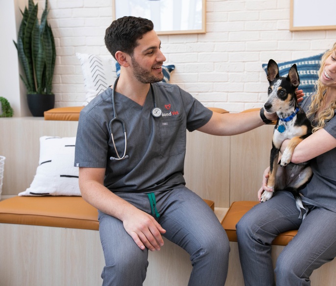 Bond Vet Bed-Stuy Lobby