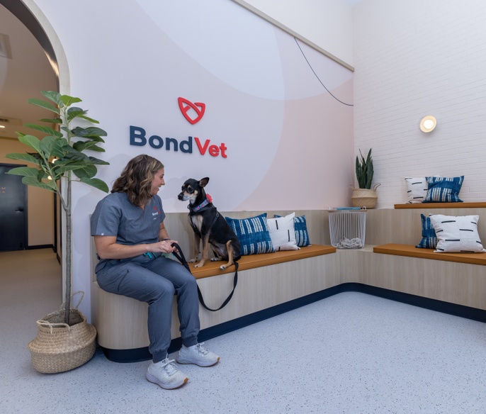 Vet with pet in lobby