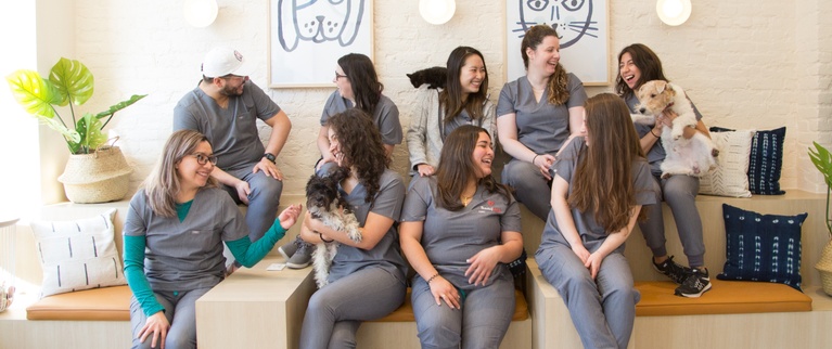 A group of smiling veterinary staff with dogs in a comfortable clinic waiting area.