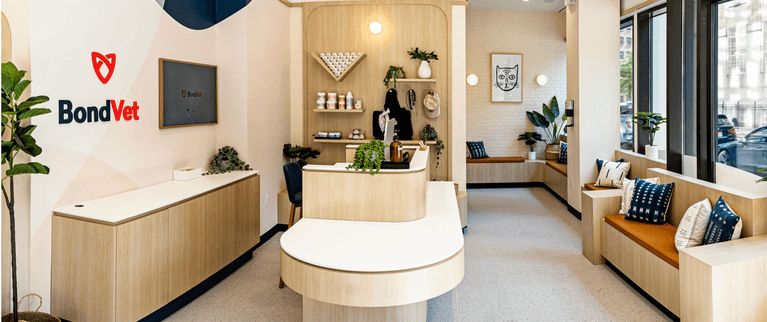 Modern veterinary clinic reception with clean, bright interior design and branded decor.