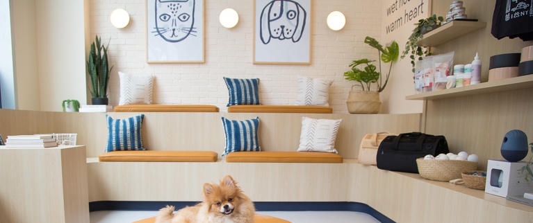 Bond Vet - East Village lobby