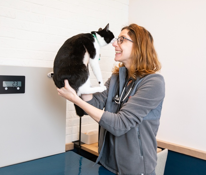 Vet with pet in exam room
