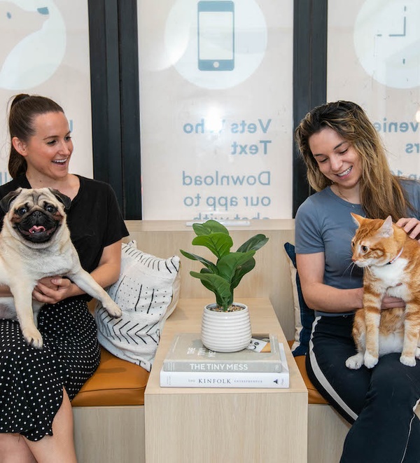 Bordetella Vaccine: Protecting Your Dog Against Kennel Cough