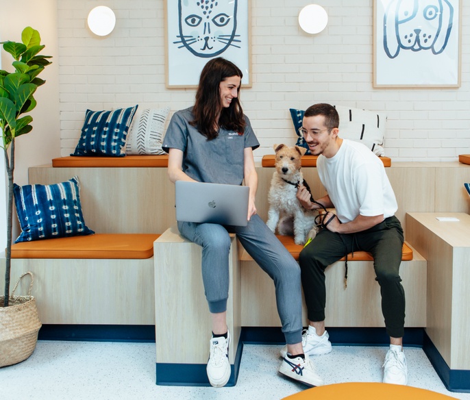 Customer and Veterinarian going over a pets medical records at Bond Vet - Capitol Hill