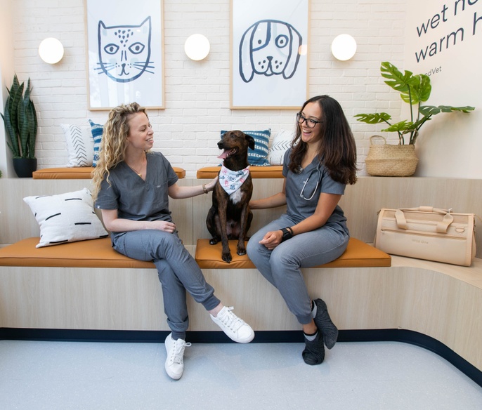 Vets with pet in clinic lobby