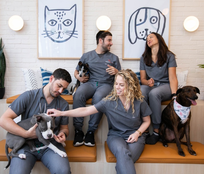 Vets with pets in clinic lobby