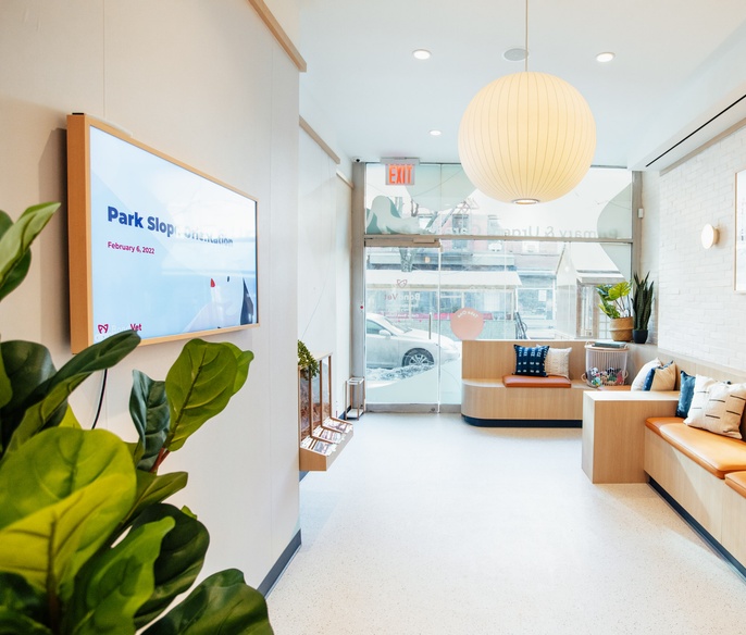 Park Slope clinic lobby