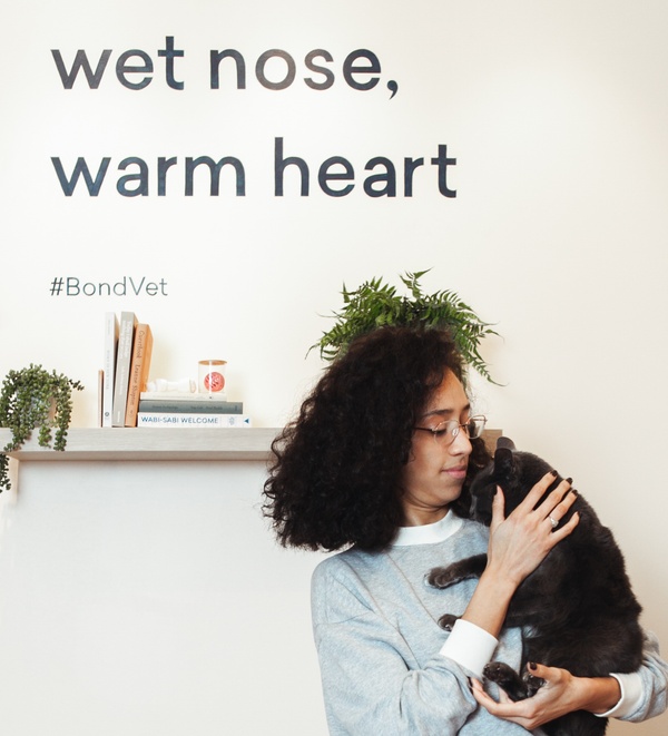 Cat Overgrooming: What’s Normal and What Isn’t?