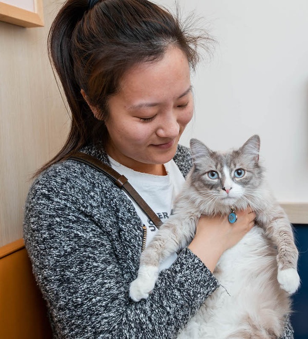 Common Cat Skin Problems & How To Recognize Them