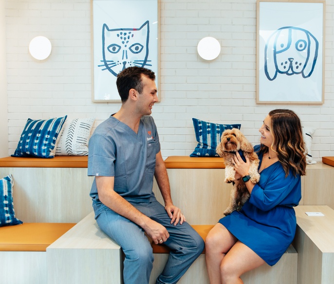 Vet with pet in lobby